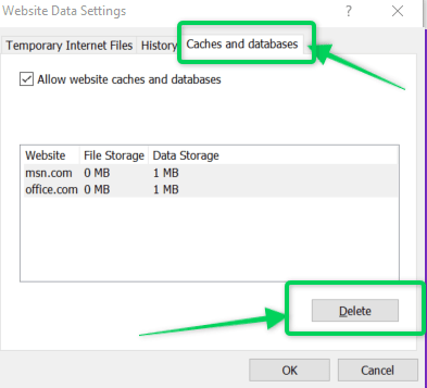 Clear caches and database settings on Internet Explorer browser