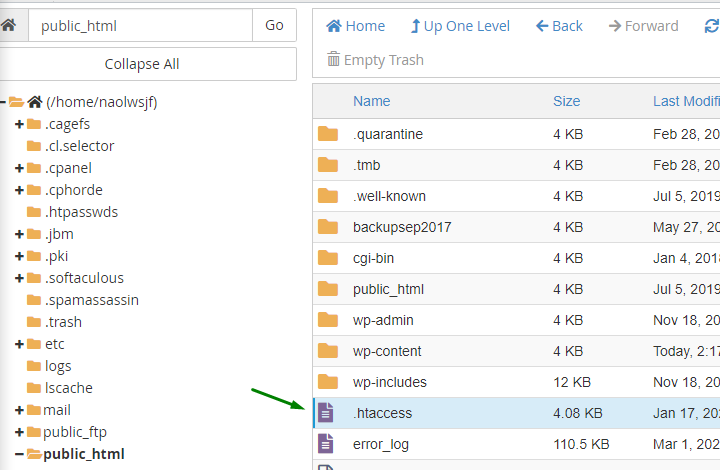 Arrow showing the htaccess file on the File Manager