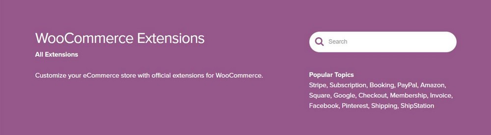 WooCommerce Extension Header