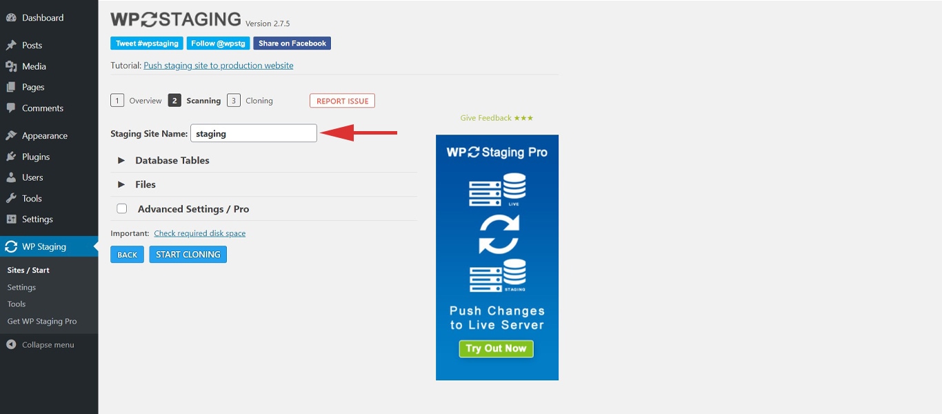 WP Staging site name