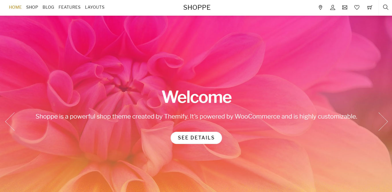 Shoppe theme demo