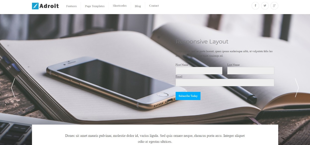 Adroit wordpress theme