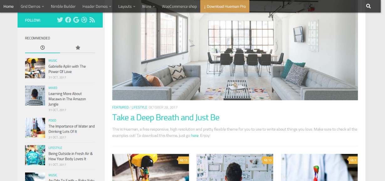 Hueman free wordpress theme