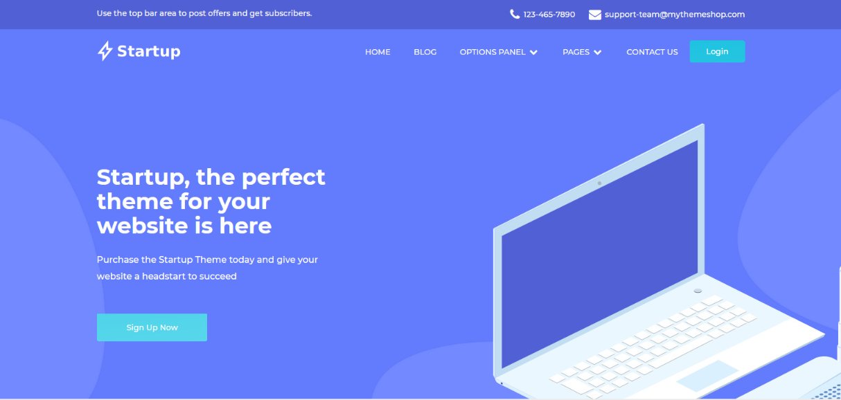Startup Theme demo template