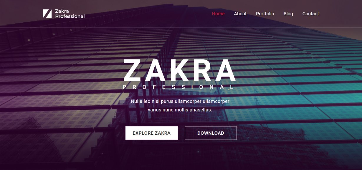 Zakra Professional demo template