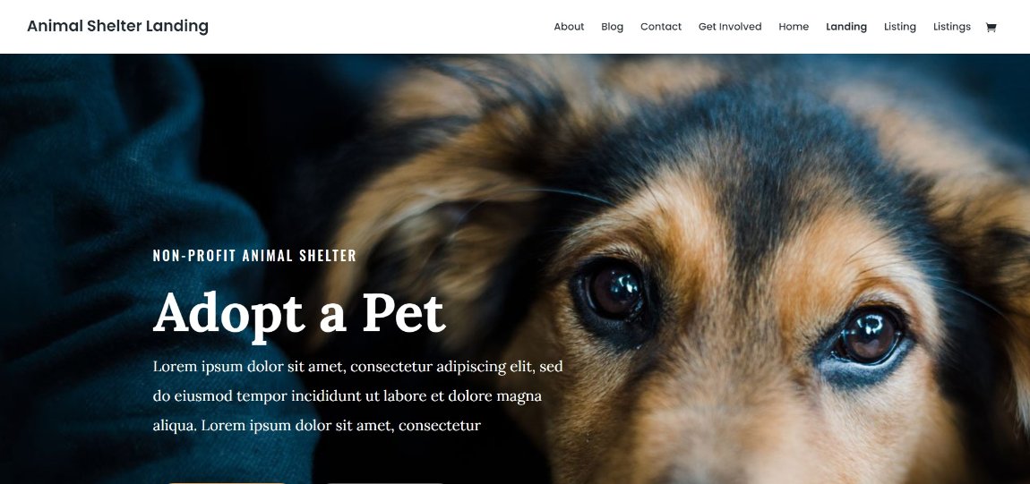 Divi Animal Shelter Landing demo template