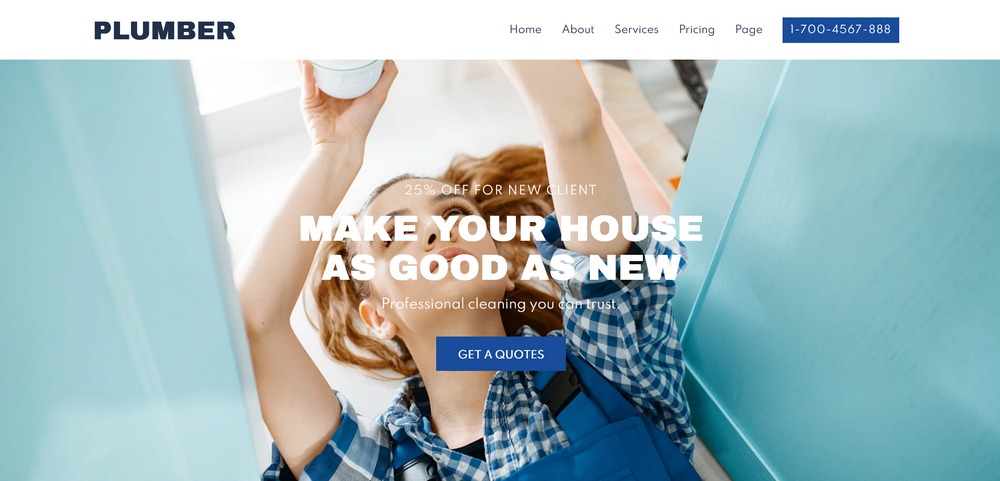 aThemes Sydney Plumber demo site