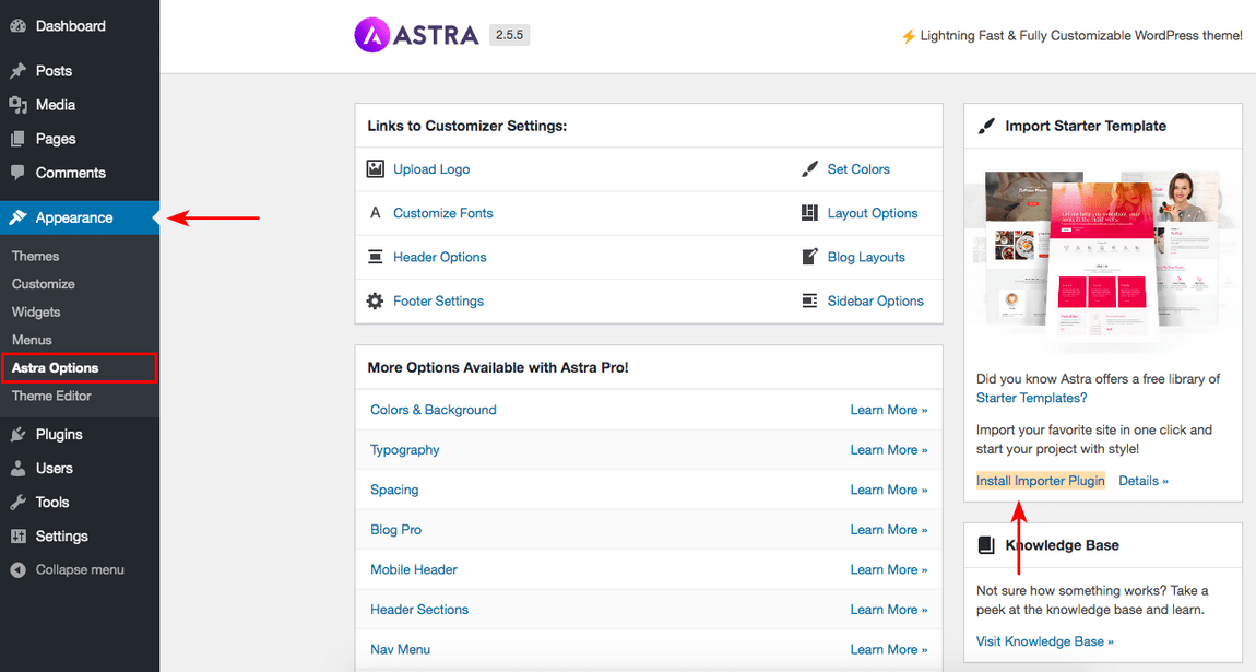 astra theme options