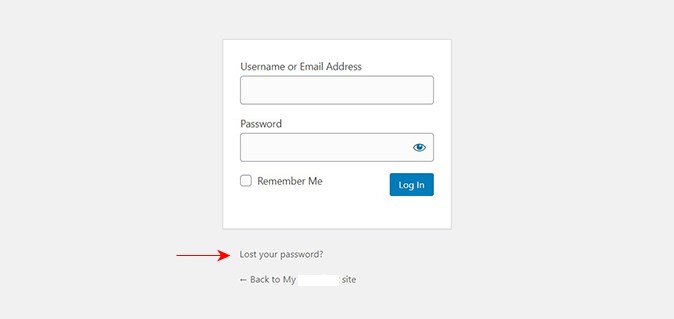 forget pass in wordpress