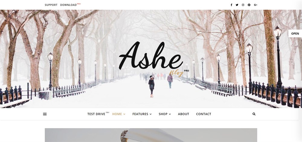 Ashe Premium WordPress Blog Theme demo