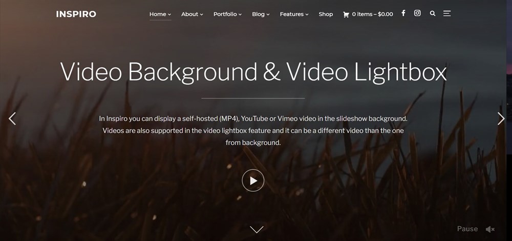 Inspiro Portfolio & Photography WordPress Theme demo