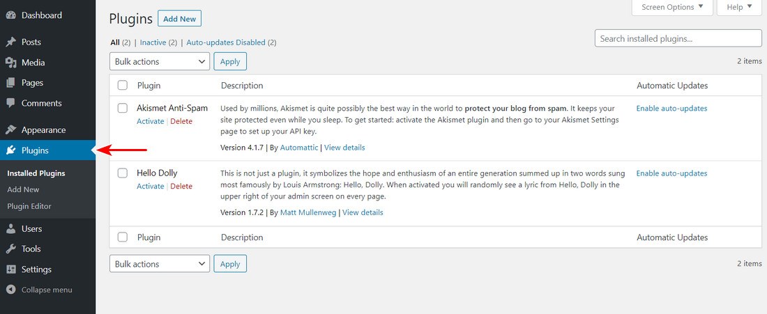 WordPress plugins section