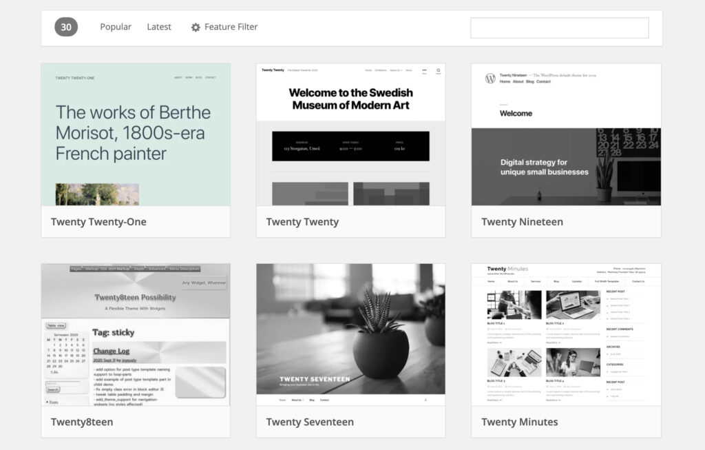 WordPress Theme Search from WP Dashboard