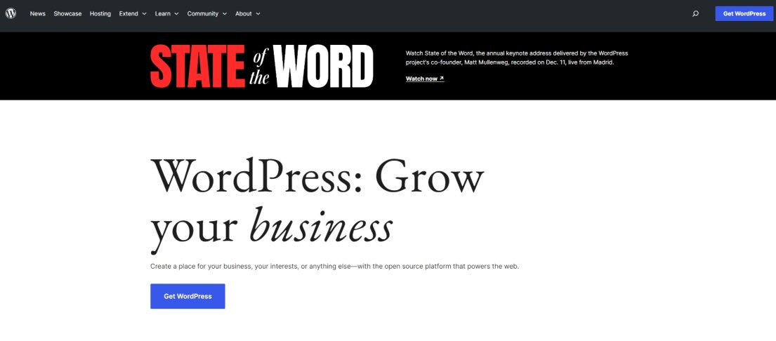 WordPress website