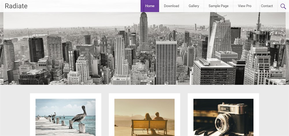 Radiate WordPress theme