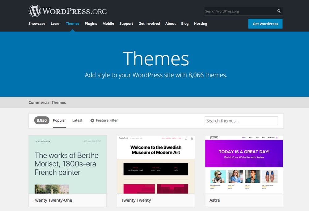 WordPress themes