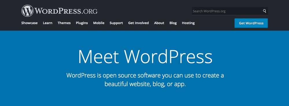 WordPress website