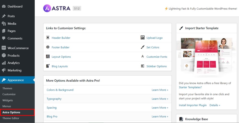 Astra theme settings