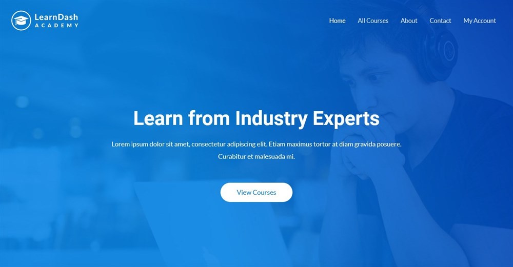 LearnDash Academy Template Demo