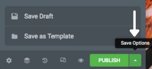 Elementor Page Save Options
