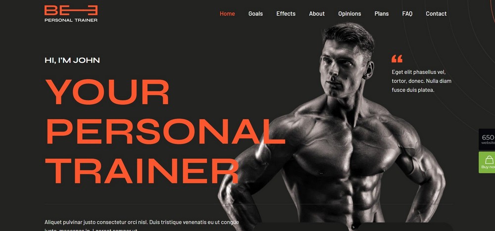 BeTheme personal trainer theme