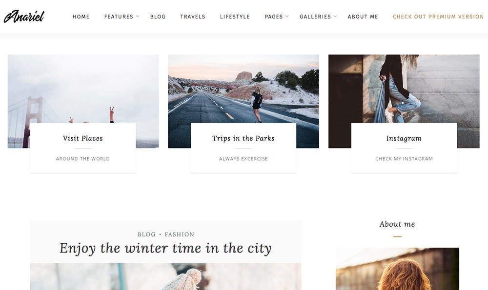 Anariel WordPress theme