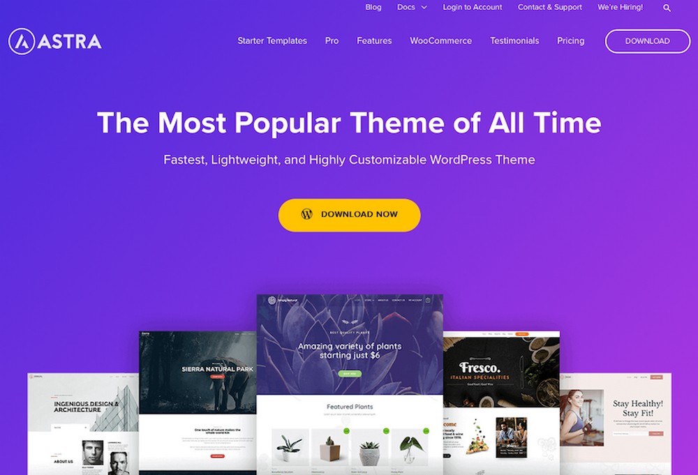 Astra WordPress theme