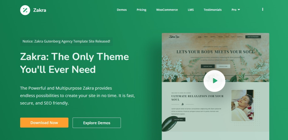 Zakra WordPress theme website home 