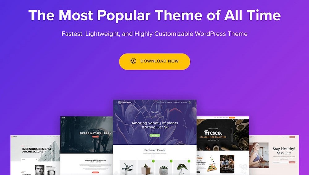 Astra WordPress Theme