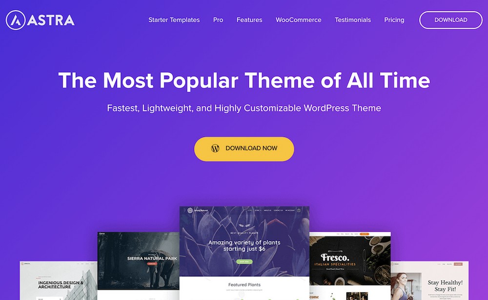 Astra WordPress theme