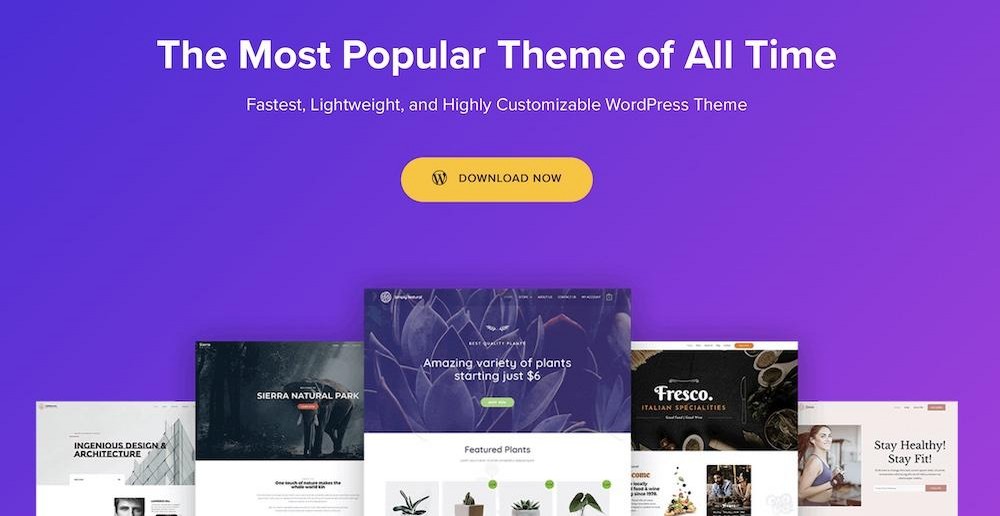 Astra WordPress theme